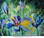 From the Spring Garden, Irises-3, Oil on Canvas